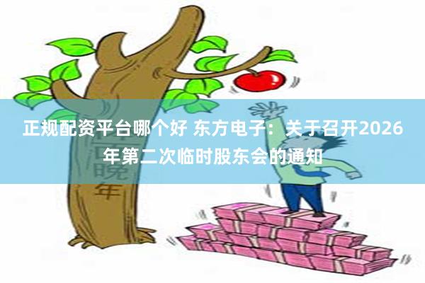 正规配资平台哪个好 东方电子：关于召开2026年第二次临时股东会的通知